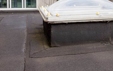 disadvantages of Pont Sian flat roofs