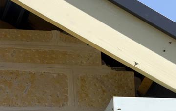 soffit repair Pont Sian