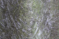 Pont Sian fibreglass roof work