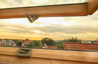 rated Pont Sian roof window companies